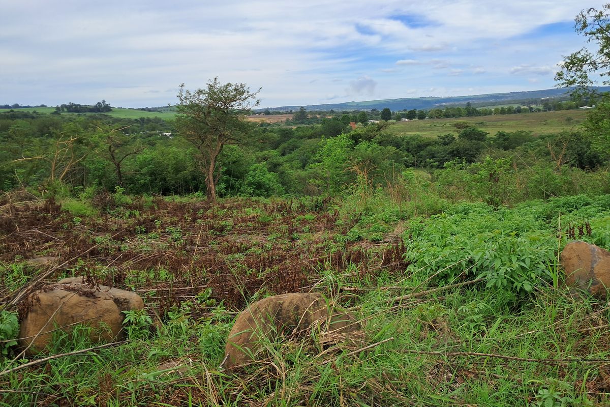 A scenic view of the undeveloped commercial land featuring natural vegetation, rocky terrain, and expansive rural landscape vistas.