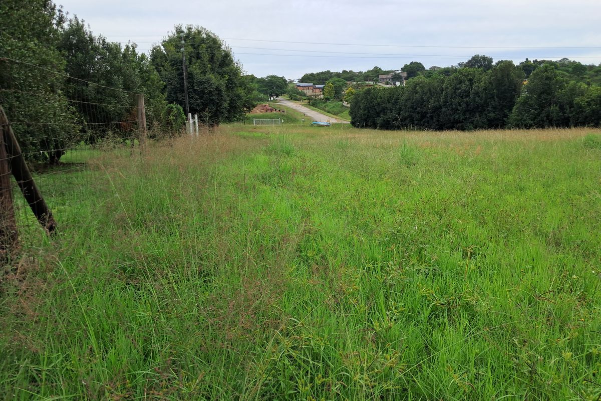 A view of the vacant land featuring open grassland, mature trees, and existing wire fencing along the perimeter.