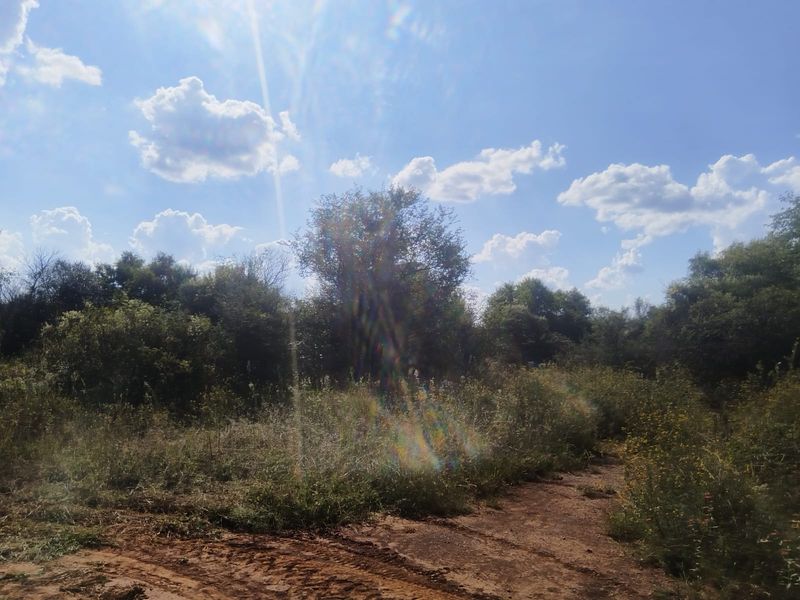 Discover your dream farm in Koster:  Unleash your imagination today! - Photo 10