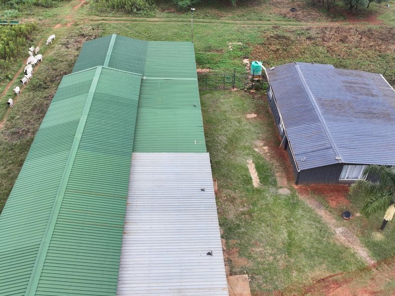 Discover your dream farm in Koster:  Unleash your imagination today! - Photo 5