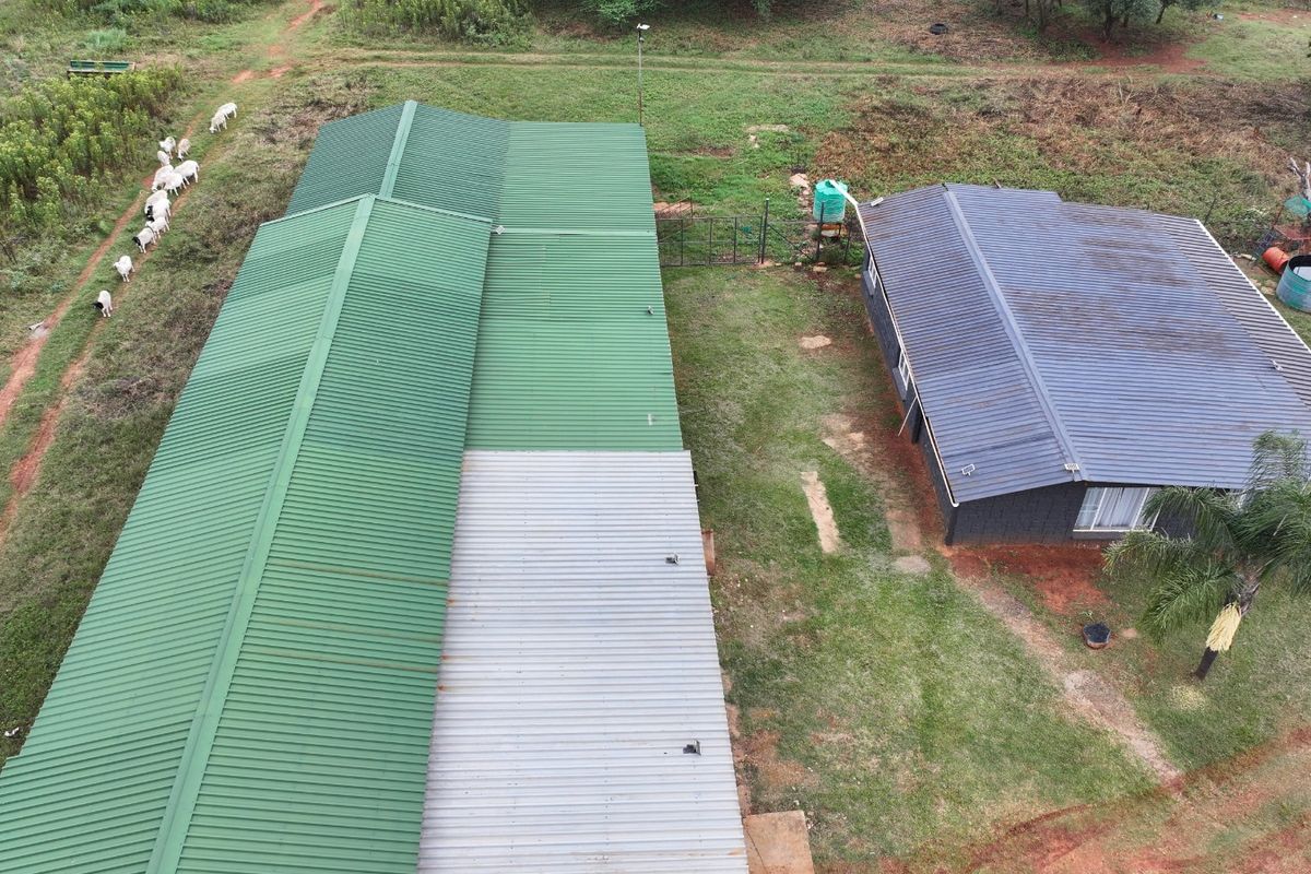 Discover your dream farm in Koster:  Unleash your imagination today! - Photo 5