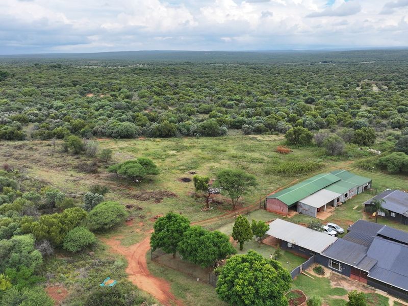 Discover your dream farm in Koster:  Unleash your imagination today! - Photo 3