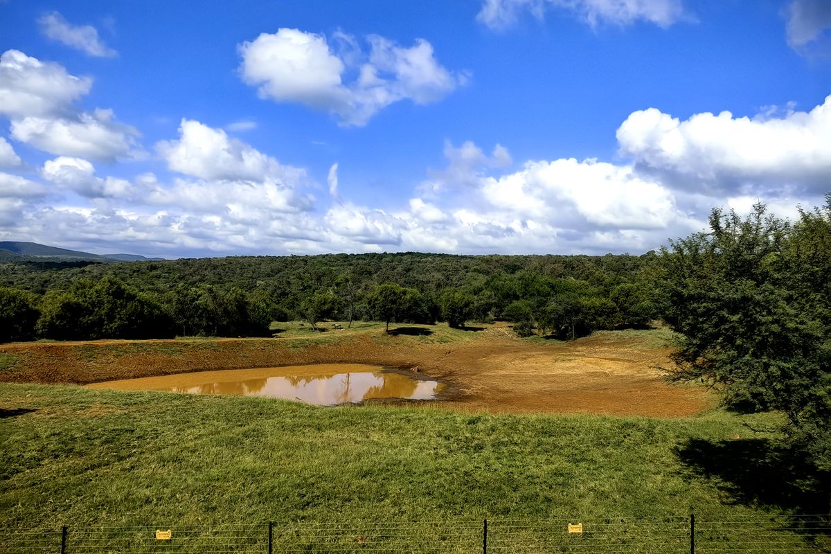 Bushveld Escape with Luxury Living & Abundant Wildlife - Photo 3