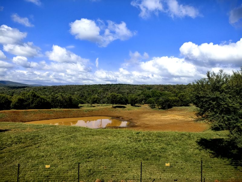 A scenic view of the farm landscape featuring an earthen dam and surrounding natural vegetation, enclosed by a wire fence.