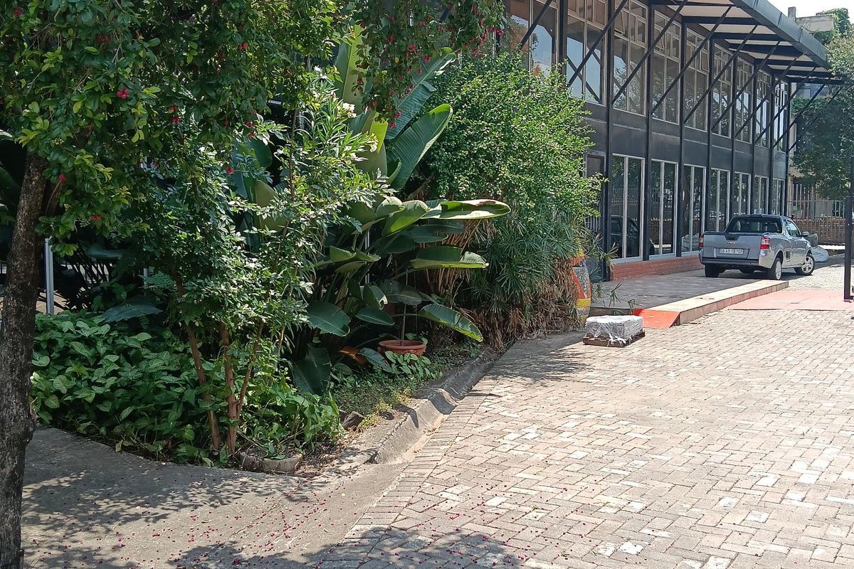 Tile factory for sale - Photo 4