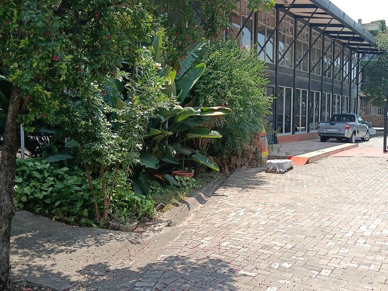 Exterior view of an industrial building featuring a large glass facade, steel structural framing, and a paved driveway area with mature landscaping.