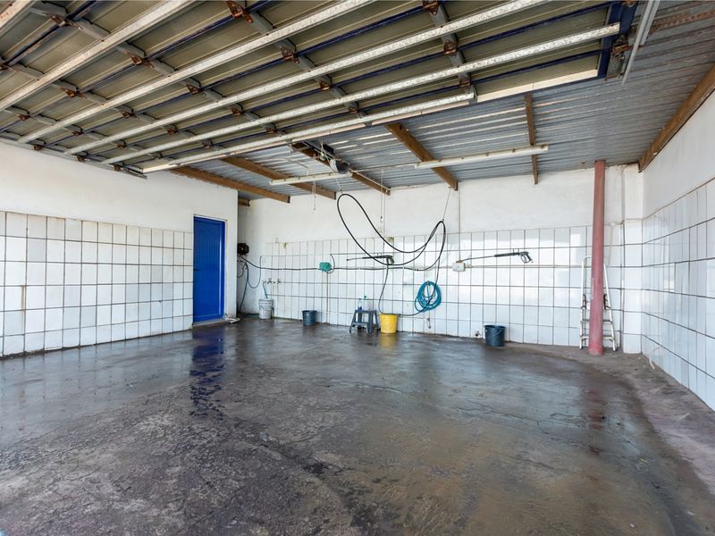 A spacious, functional garage area featuring tiled walls, exposed metal roofing, and durable concrete flooring, suitable for vehicle storage or utility use.