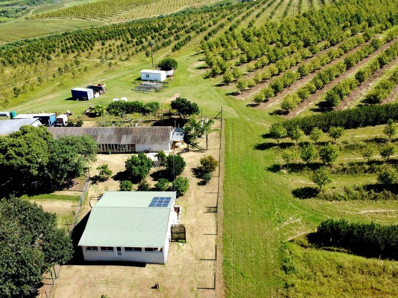 Aerial view of a farm property featuring multiple outbuildings, a main structure with solar panels, and extensive surrounding orchard land.