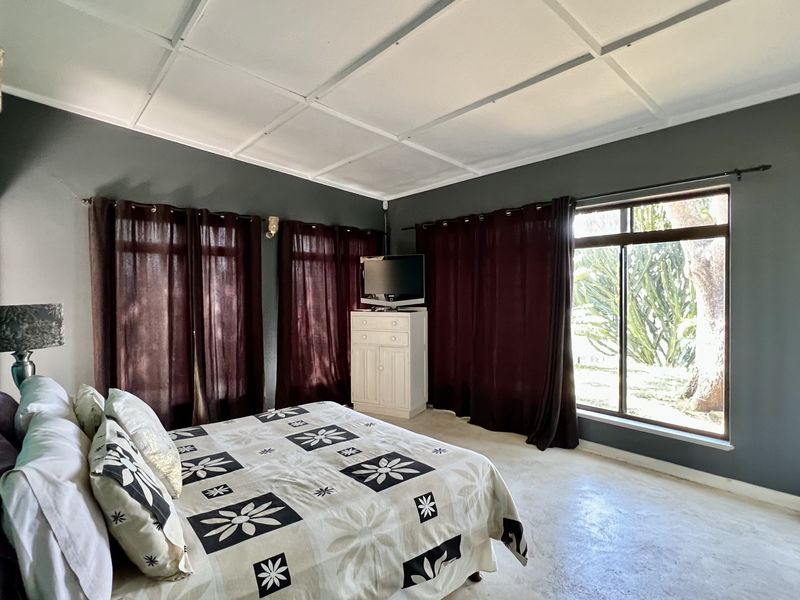 Spacious bedroom featuring large windows that provide natural light, a panelled ceiling, and tiled flooring.