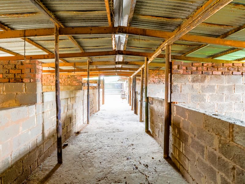 Farm and Yard to let - Photo 5