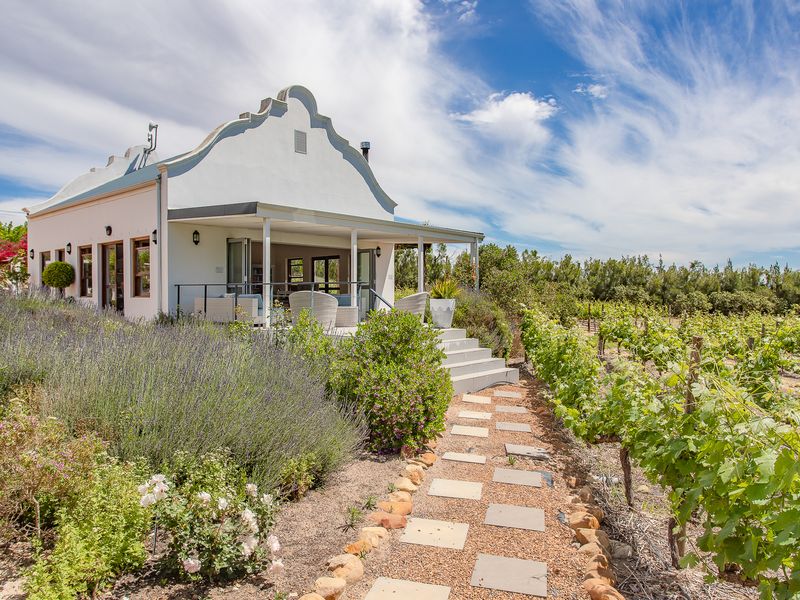 Stunning Bovlei farm in Wellington for sale - Photo 7