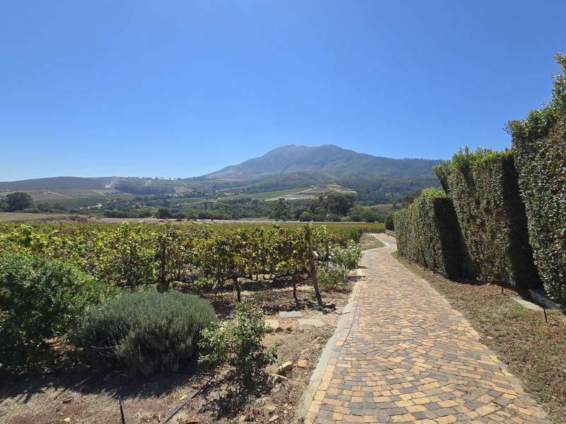 Stunning Bovlei farm in Wellington for sale - Photo 6