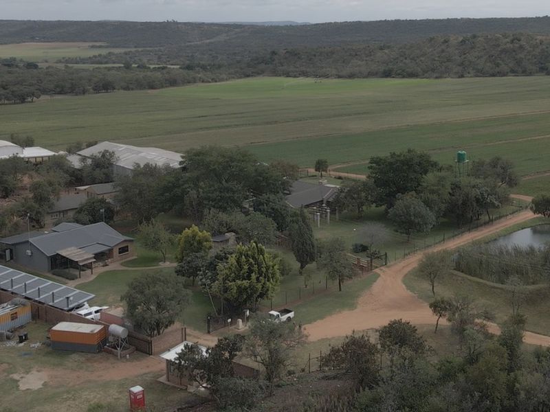 FOR SALE | 34.5 ha WATER-SECURE FARM | INFRASTRUCTURE + PRODUCTION BASE | BYENESPOORT | PRETORIA - Photo 5