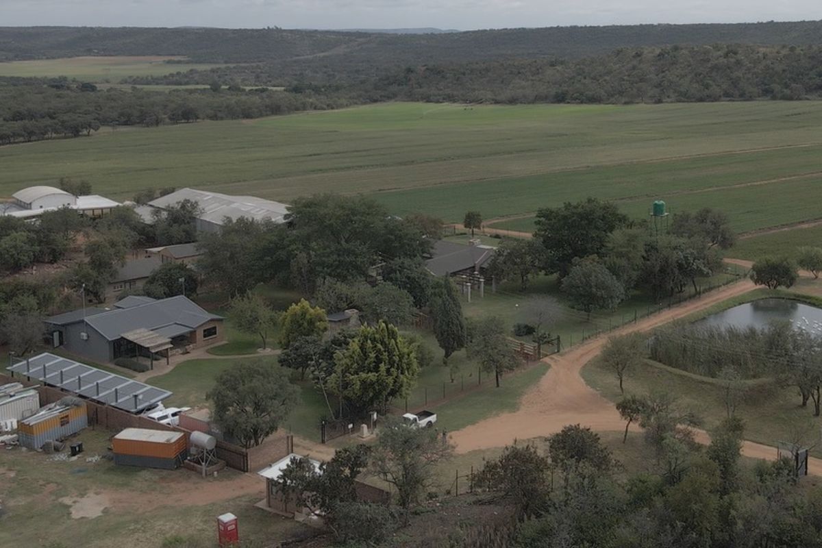FOR SALE | 34.5 ha WATER-SECURE FARM | INFRASTRUCTURE + PRODUCTION BASE | BYENESPOORT | PRETORIA - Photo 5
