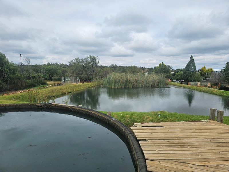 FOR SALE | 34.5 ha WATER-SECURE FARM | INFRASTRUCTURE + PRODUCTION BASE | BYENESPOORT | PRETORIA - Photo 10