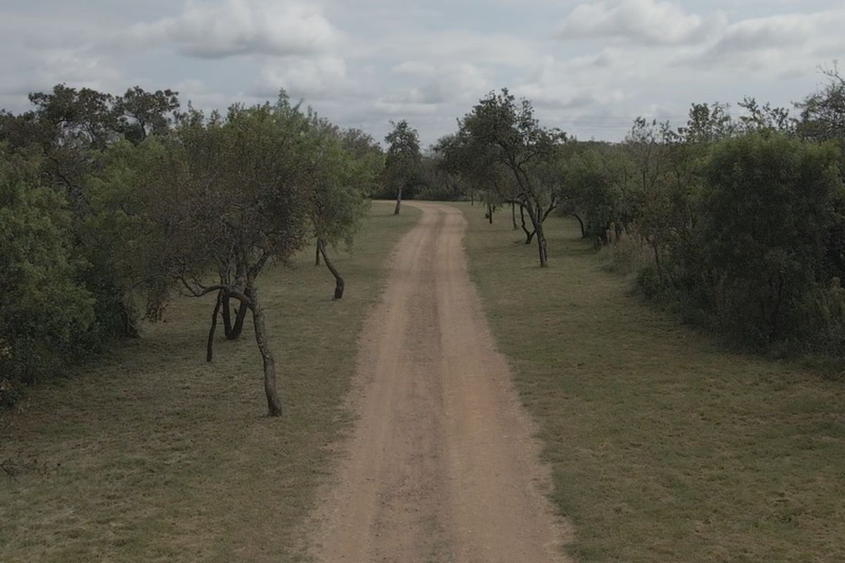 An aerial view of a dirt access road winding through a natural landscape with mature trees and open grassland on a farm property.