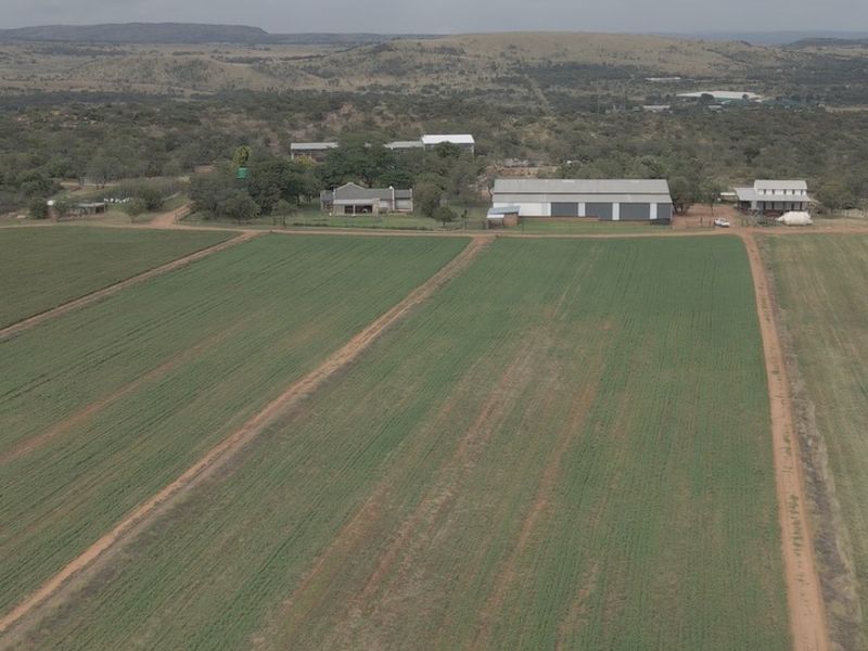 FOR SALE | 34.5 ha WATER-SECURE FARM | INFRASTRUCTURE + PRODUCTION BASE | BYENESPOORT | PRETORIA - Photo 6