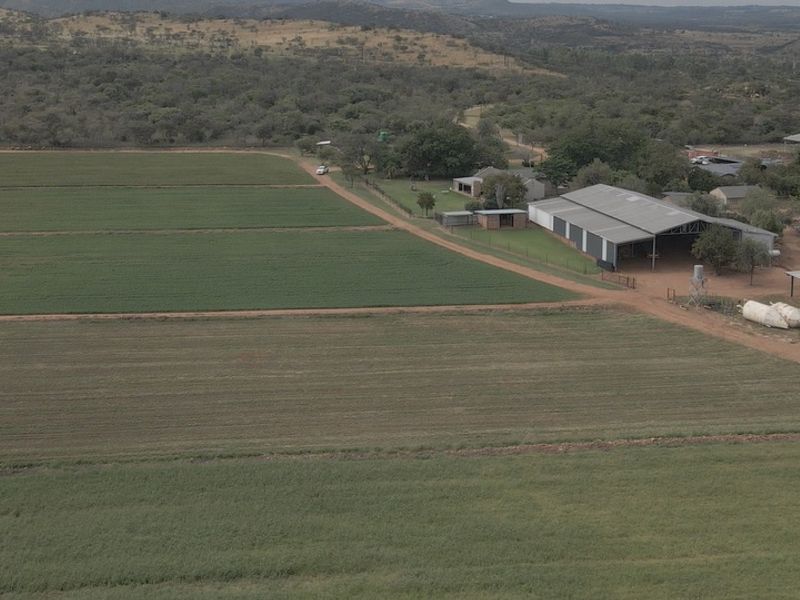 FOR SALE | 34.5 ha WATER-SECURE FARM | INFRASTRUCTURE + PRODUCTION BASE | BYENESPOORT | PRETORIA - Photo 3