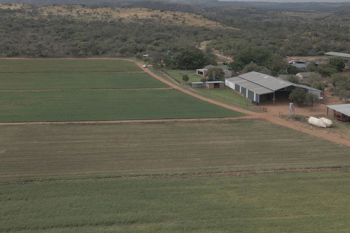 FOR SALE | 34.5 ha WATER-SECURE FARM | INFRASTRUCTURE + PRODUCTION BASE | BYENESPOORT | PRETORIA - Photo 3