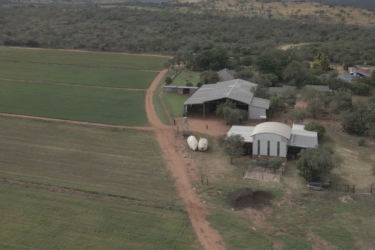 FOR SALE | 34.5 ha WATER-SECURE FARM | INFRASTRUCTURE + PRODUCTION BASE | BYENESPOORT | PRETORIA - Photo 2