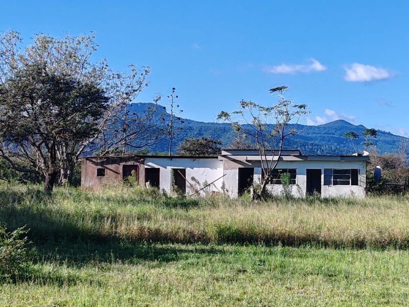 8 ha HARMONY BUSH GARDEN – Events & Functions Venue - Photo 4