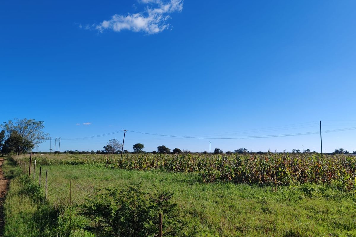 8 ha HARMONY BUSH GARDEN – Events & Functions Venue - Photo 3