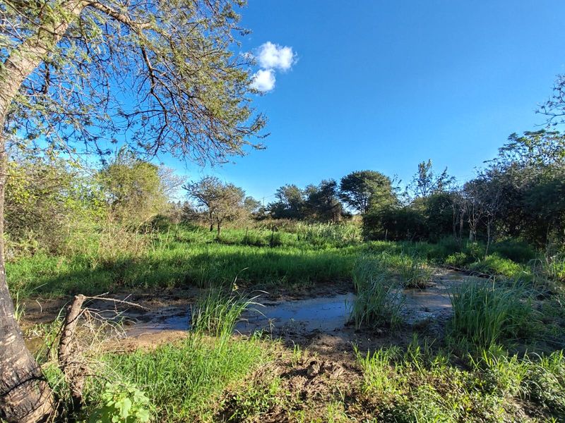 8 ha HARMONY BUSH GARDEN – Events & Functions Venue - Photo 7