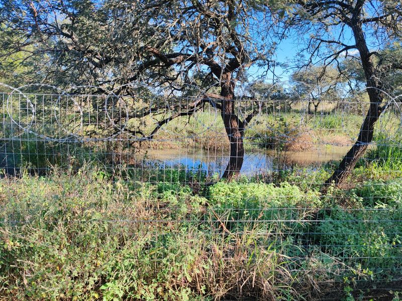 8 ha HARMONY BUSH GARDEN – Events & Functions Venue - Photo 8