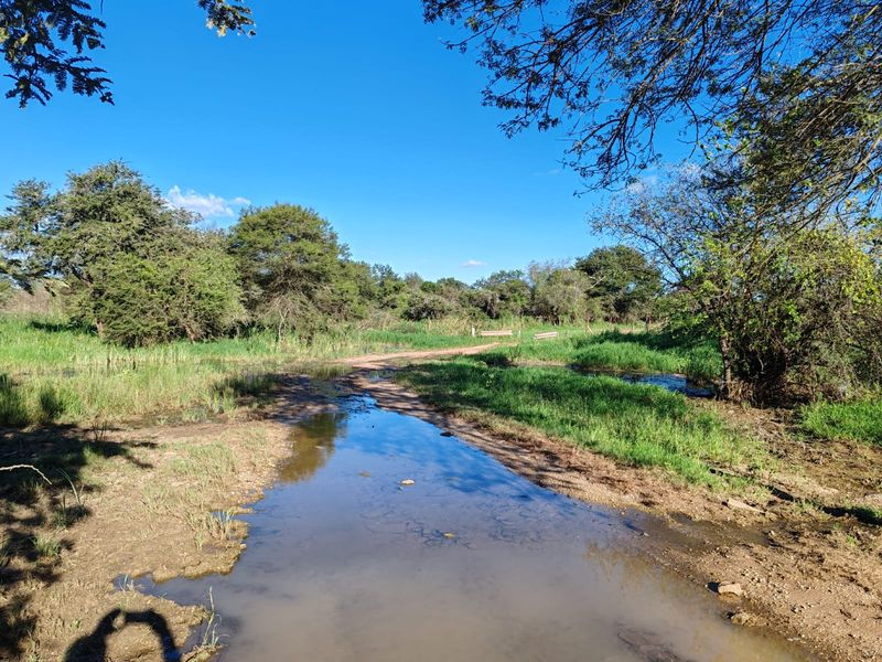 8 ha HARMONY BUSH GARDEN – Events & Functions Venue - Photo 6