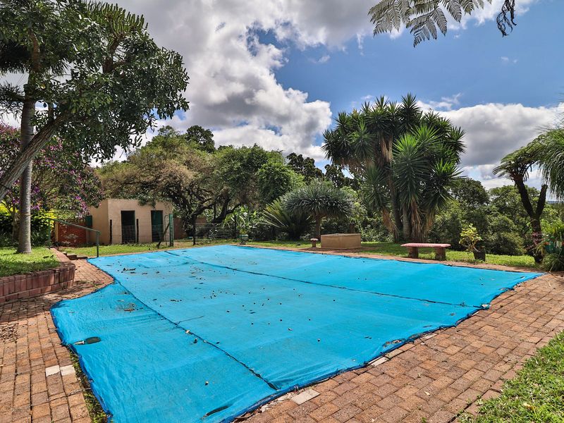 Income generating 8ha Small Holding - Photo 4