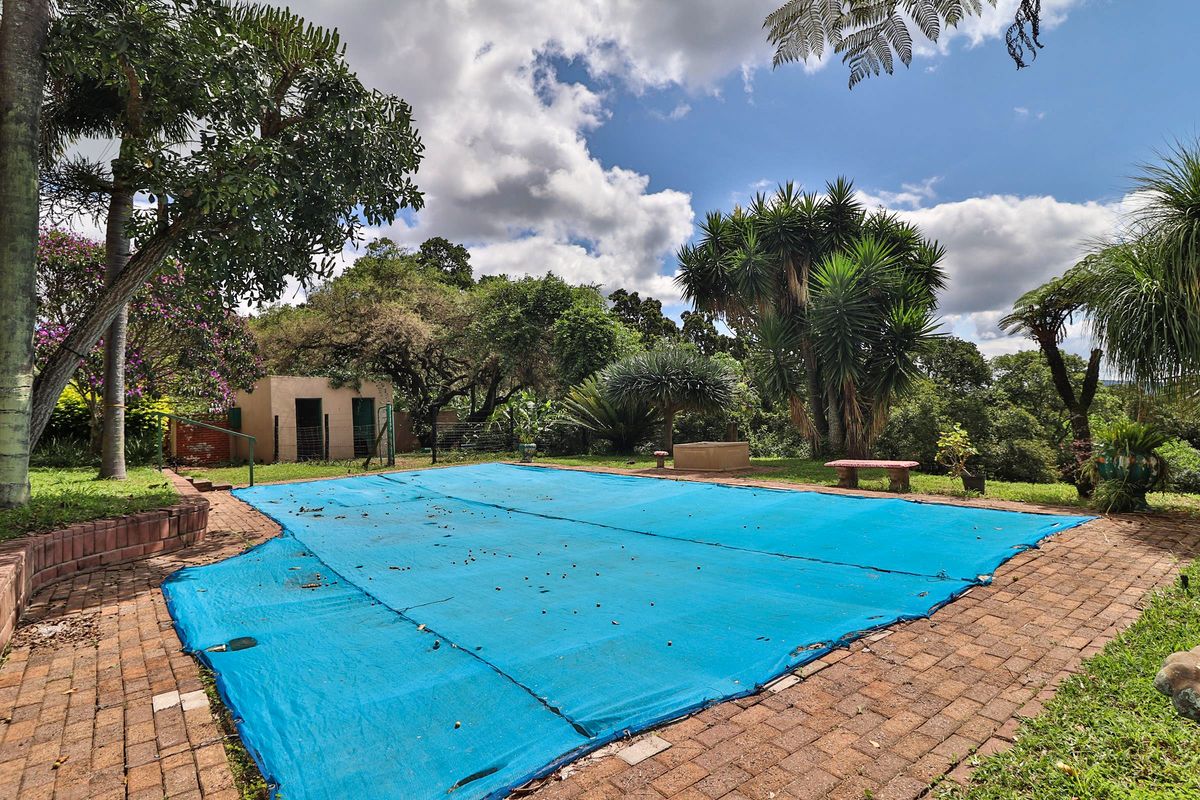 Income generating 8ha Small Holding - Photo 4