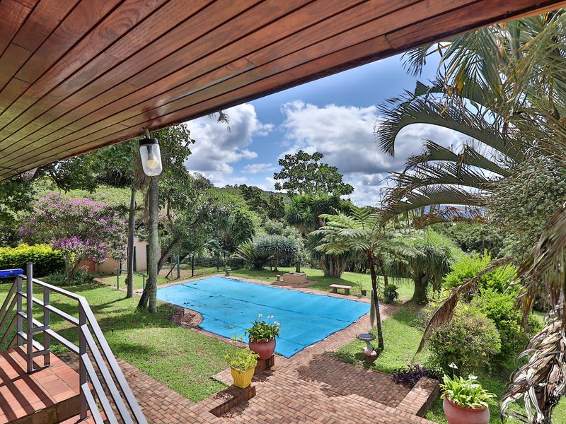 Income generating 8ha Small Holding - Photo 5