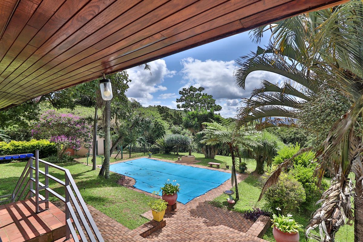 Income generating 8ha Small Holding - Photo 5