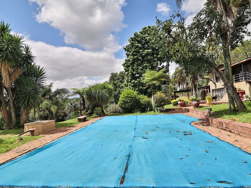 Income generating 8ha Small Holding - Photo 3