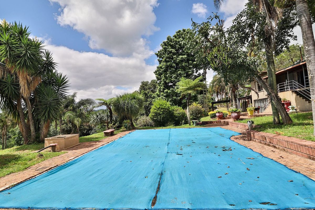 Income generating 8ha Small Holding - Photo 3