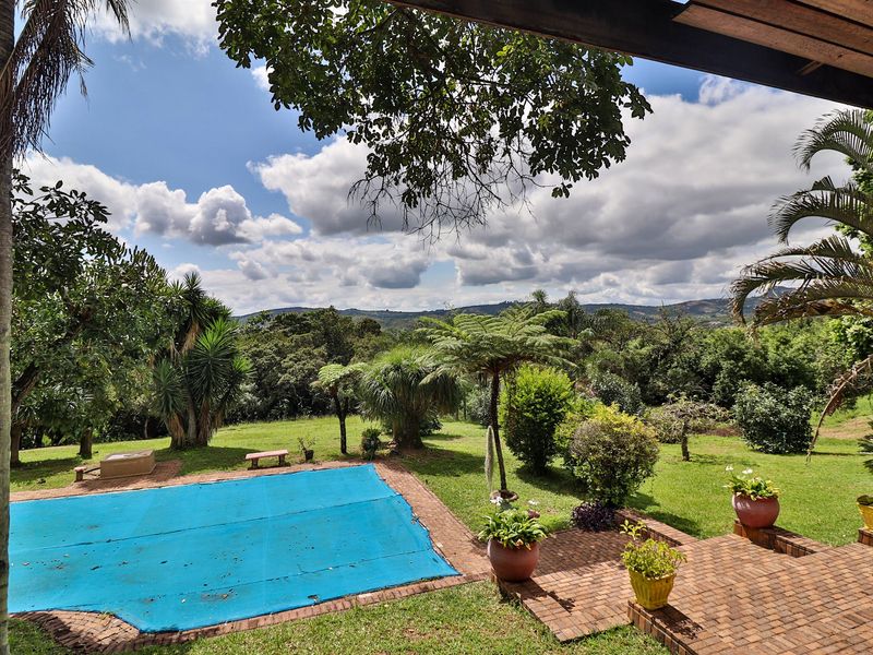 Income generating 8ha Small Holding - Photo 6