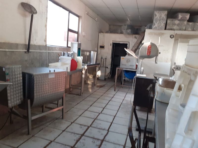 The Ultimate Live-Work Legacy an Established Butchery and Spacious Residence - Photo 10