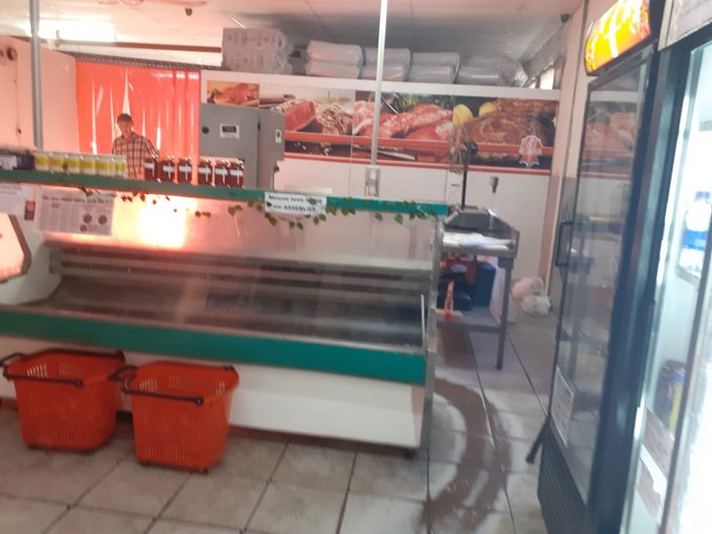 The Ultimate Live-Work Legacy an Established Butchery and Spacious Residence - Photo 7