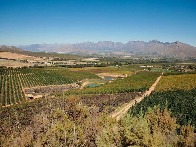 An Iconic Water-Rich Estate in the Heart of the Breede River Valley - Photo 10