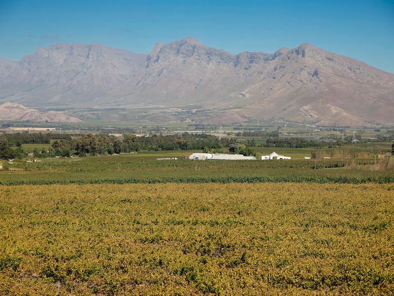 An Iconic Water-Rich Estate in the Heart of the Breede River Valley - Photo 9