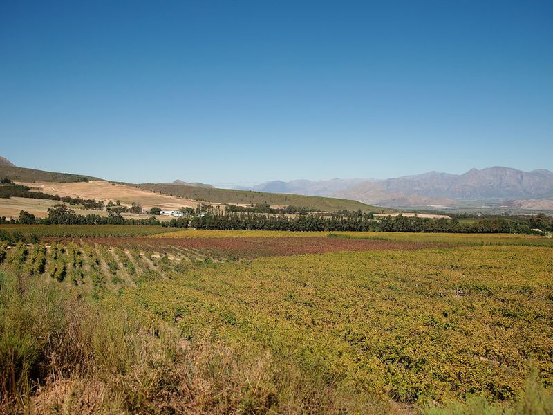 An Iconic Water-Rich Estate in the Heart of the Breede River Valley - Photo 8