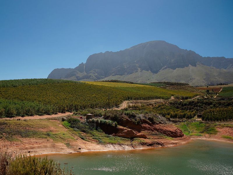 An Iconic Water-Rich Estate in the Heart of the Breede River Valley - Photo 6