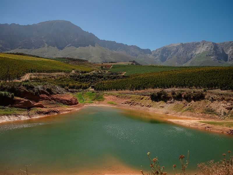 An Iconic Water-Rich Estate in the Heart of the Breede River Valley - Photo 2
