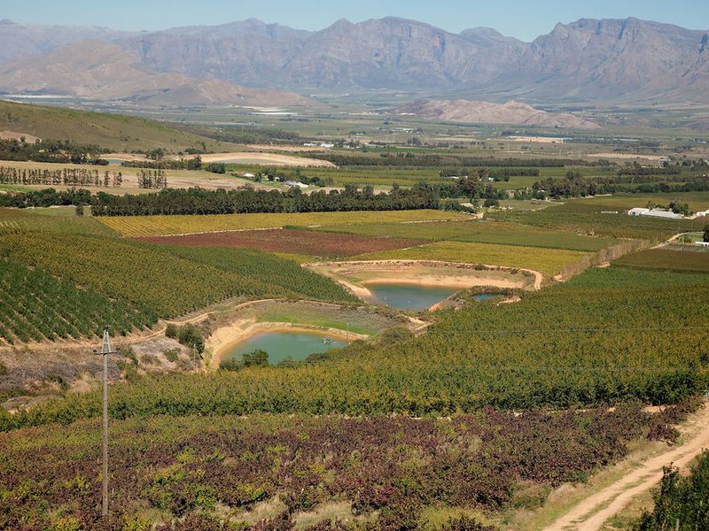 An Iconic Water-Rich Estate in the Heart of the Breede River Valley - Photo 4