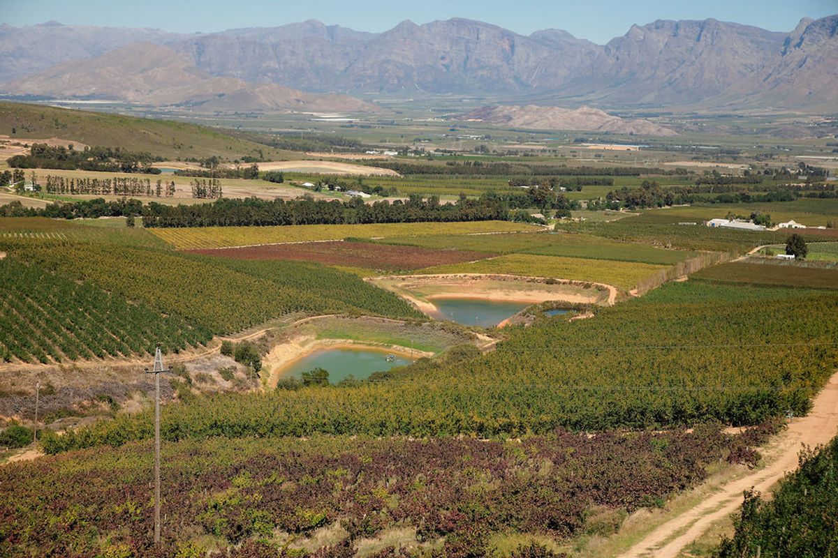 An Iconic Water-Rich Estate in the Heart of the Breede River Valley - Photo 4