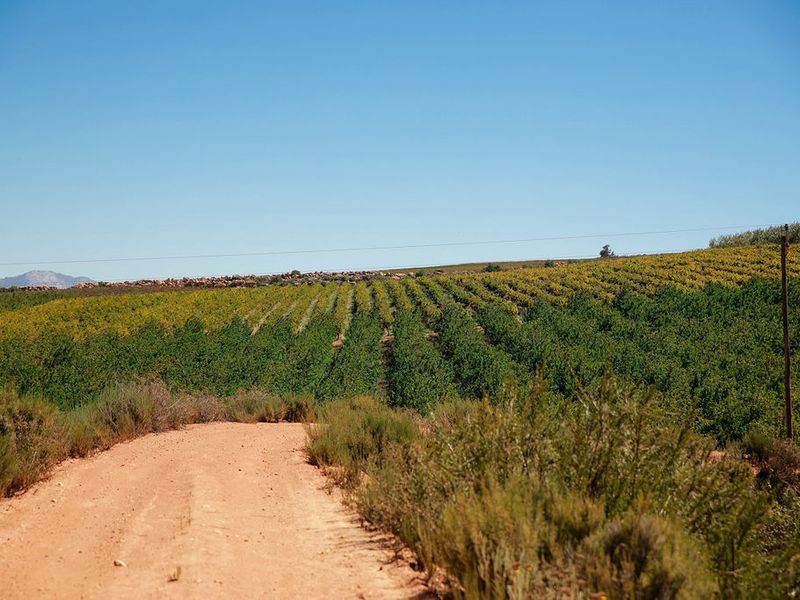 An Iconic Water-Rich Estate in the Heart of the Breede River Valley - Photo 5