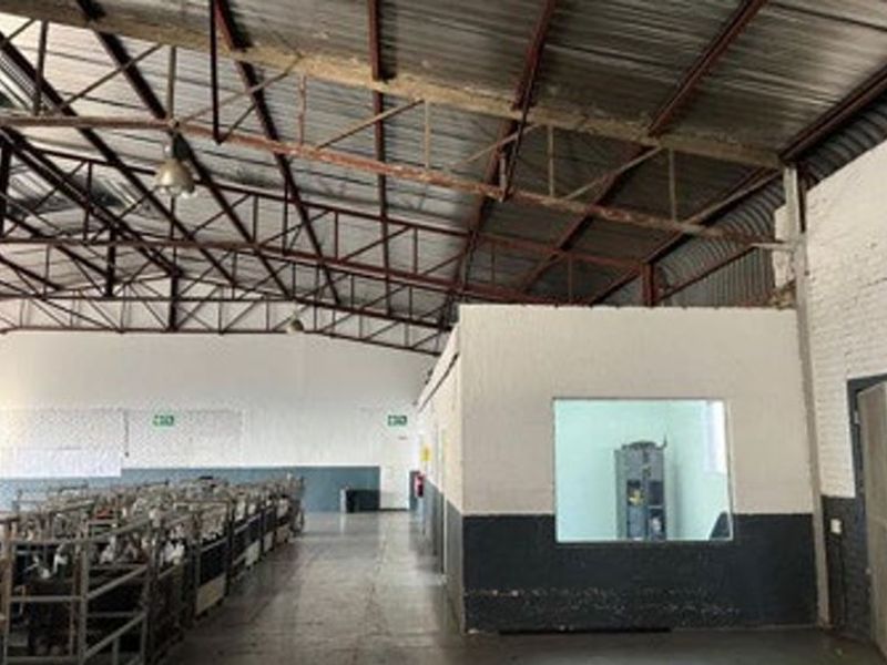 Well-Located Industrial Property with Warehouse and Offices – Rocky Drift, White River - Photo 7