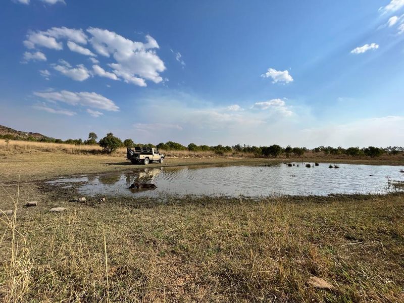 850 ha Fully Developed Game Farm for Sale | Turn-Key Wildlife & Hunting Operation | Swartruggens NW - Photo 6