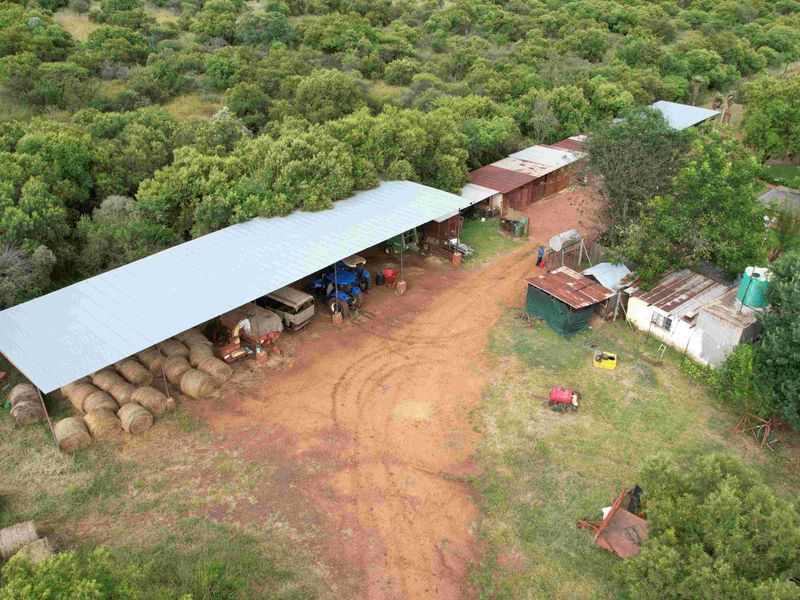 THE PERFECT INCOME GENERATION - Photo 7