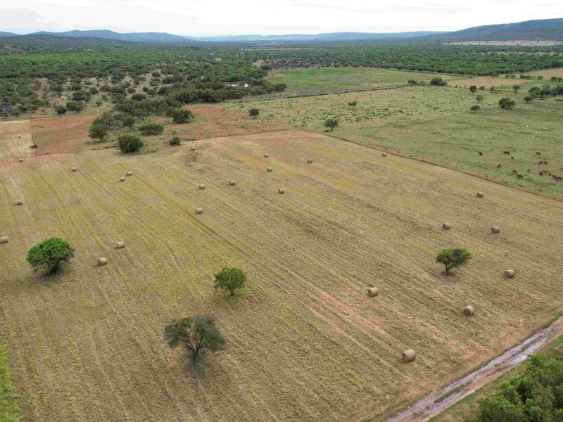 THE PERFECT INCOME GENERATION - Photo 6